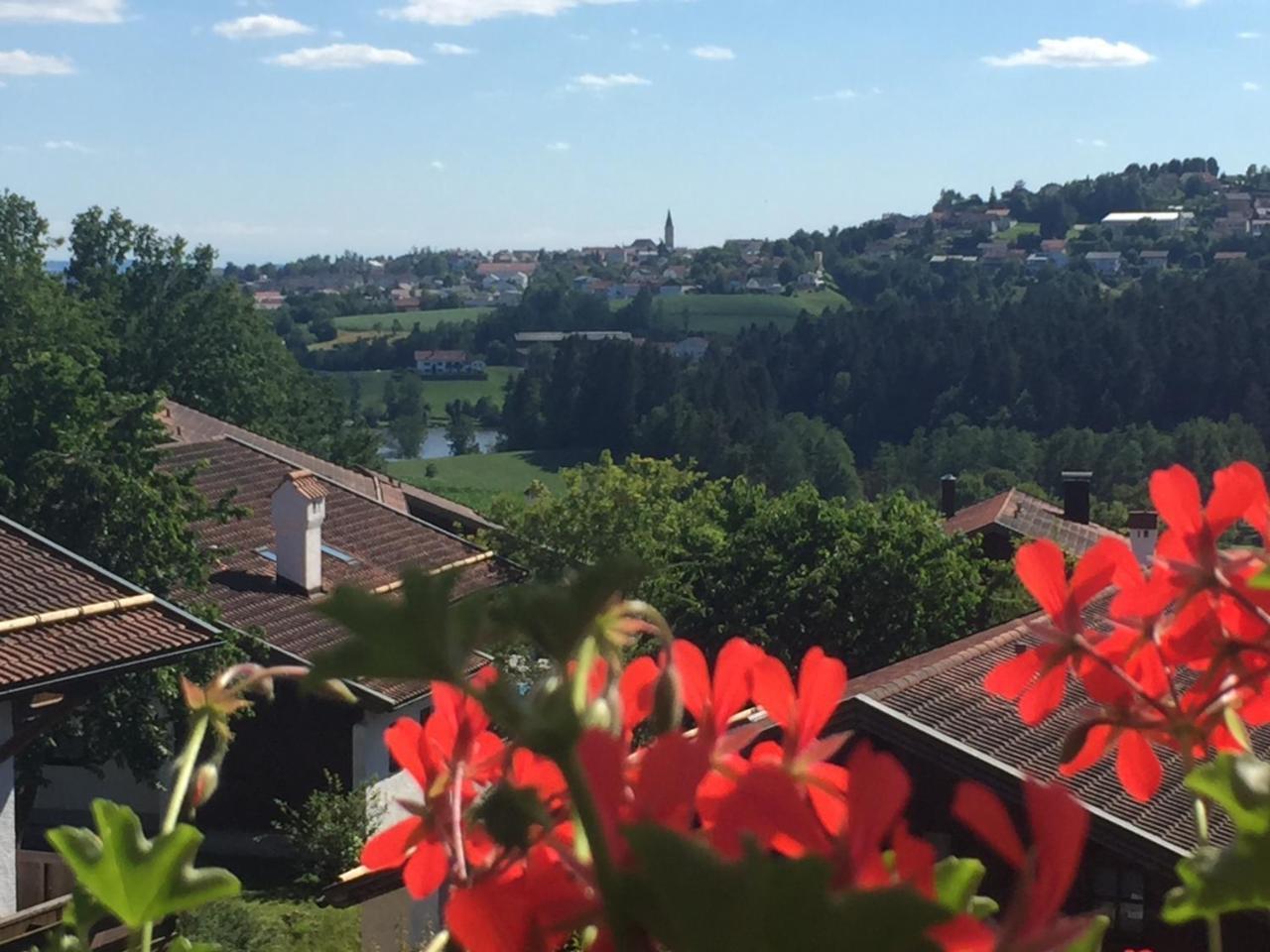 Ferienwohnung Waldblick Hauzenberg Buitenkant foto