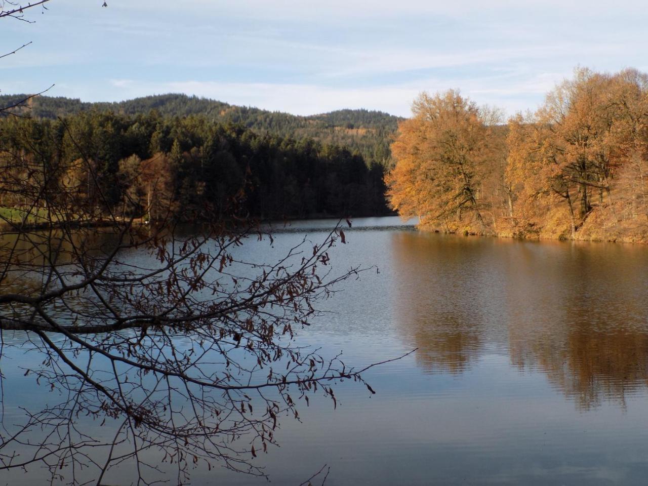 Ferienwohnung Waldblick Hauzenberg Buitenkant foto